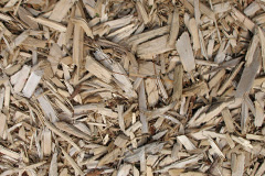 biomass boilers Tregaron